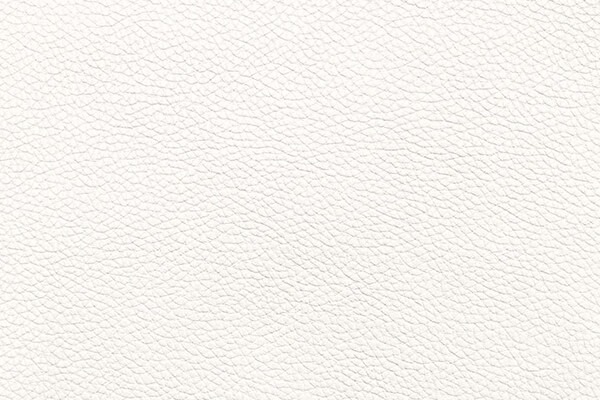 Мебельный кожзам Bionica Кожзам матовый WHITE SHINE Белый Однотон WISDOM