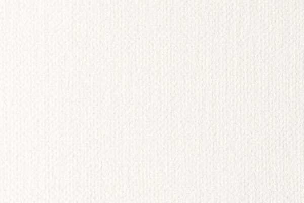 Мебельная ткань Grand Шенилл WHITE Белый Однотон Категория 11 WISDOM