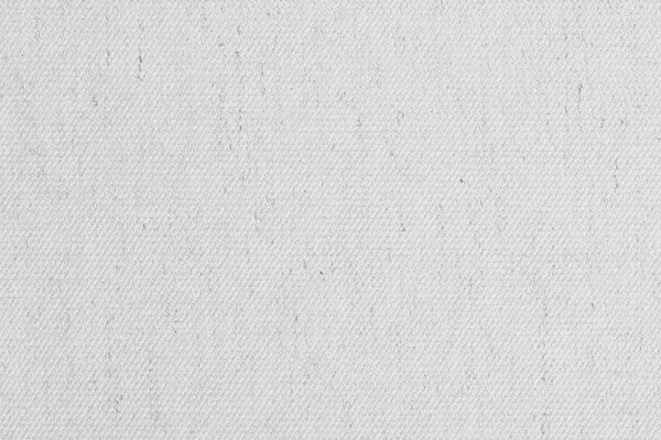 Мебельная ткань Cameleon шенилл BEIGE 01 Бежевый Однотон Категория 15 FARGOTEX