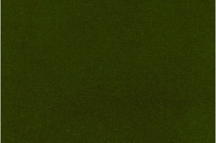 Мебельная ткань BERG Велюр GREEN 530 Зеленый Однотон Категория 15 ITALVELLUTI