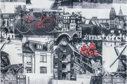 Мебельная ткань Амстердам (Amsterdam) принт Принт AMSTERDAM GRAFIT Разноцветный Тематические Категория 4 TEXTORIA
