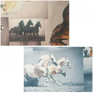 Ткань KANSAS MUSTANG  MT-01815