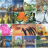 Купон PETEK  MT-01712